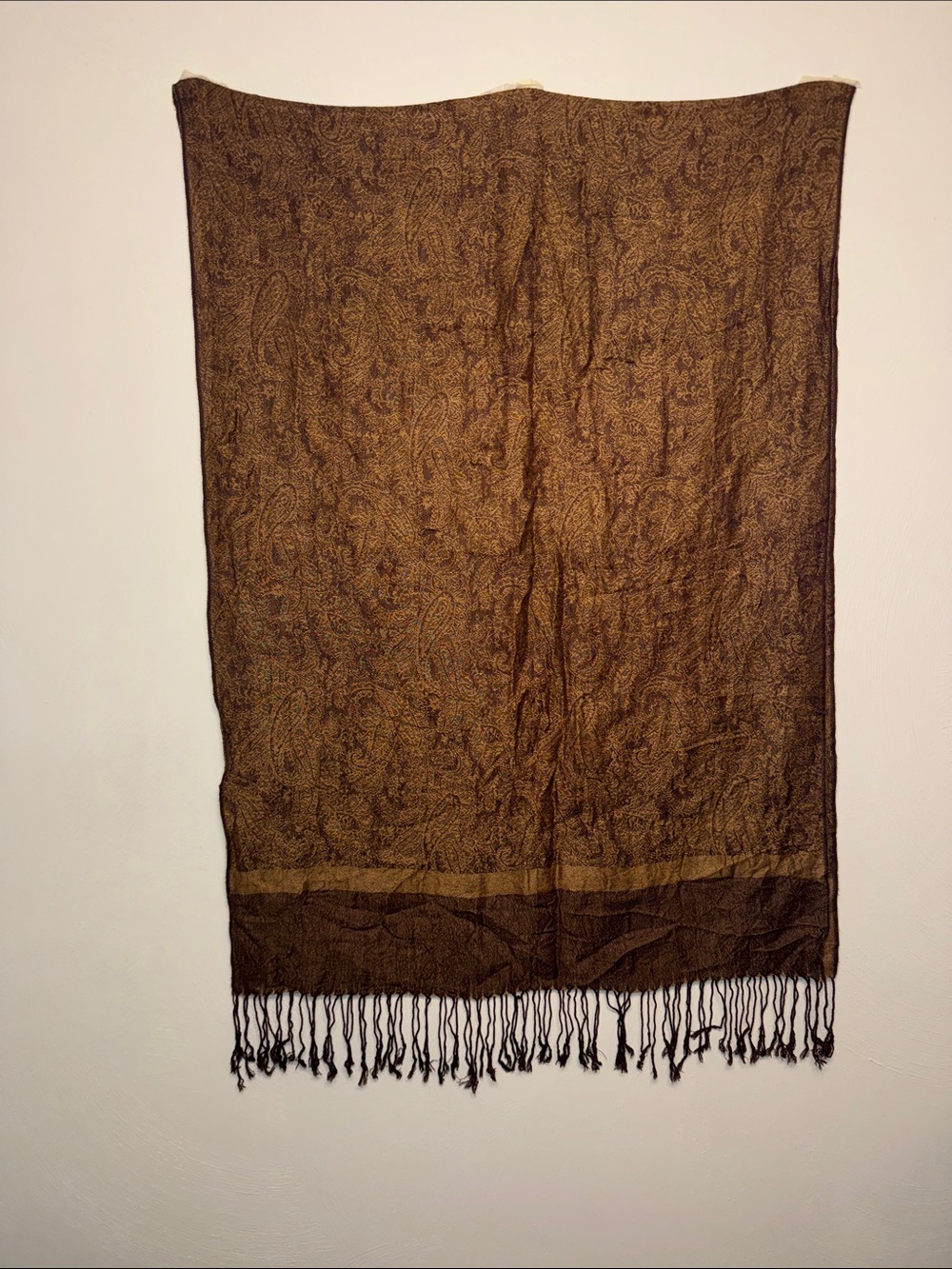 pashmina Brown and Tan Paisley Pashmina with Fringe